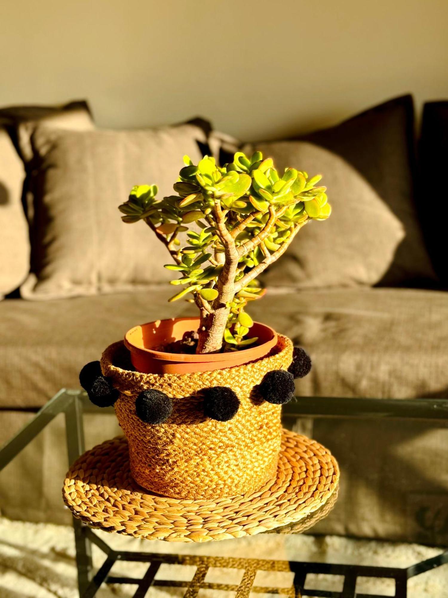 Casa Hugo - Ocean View, Quiet Pool, Fibre Net, Los Gigantes 푸에르토 데 산티아고 외부 사진